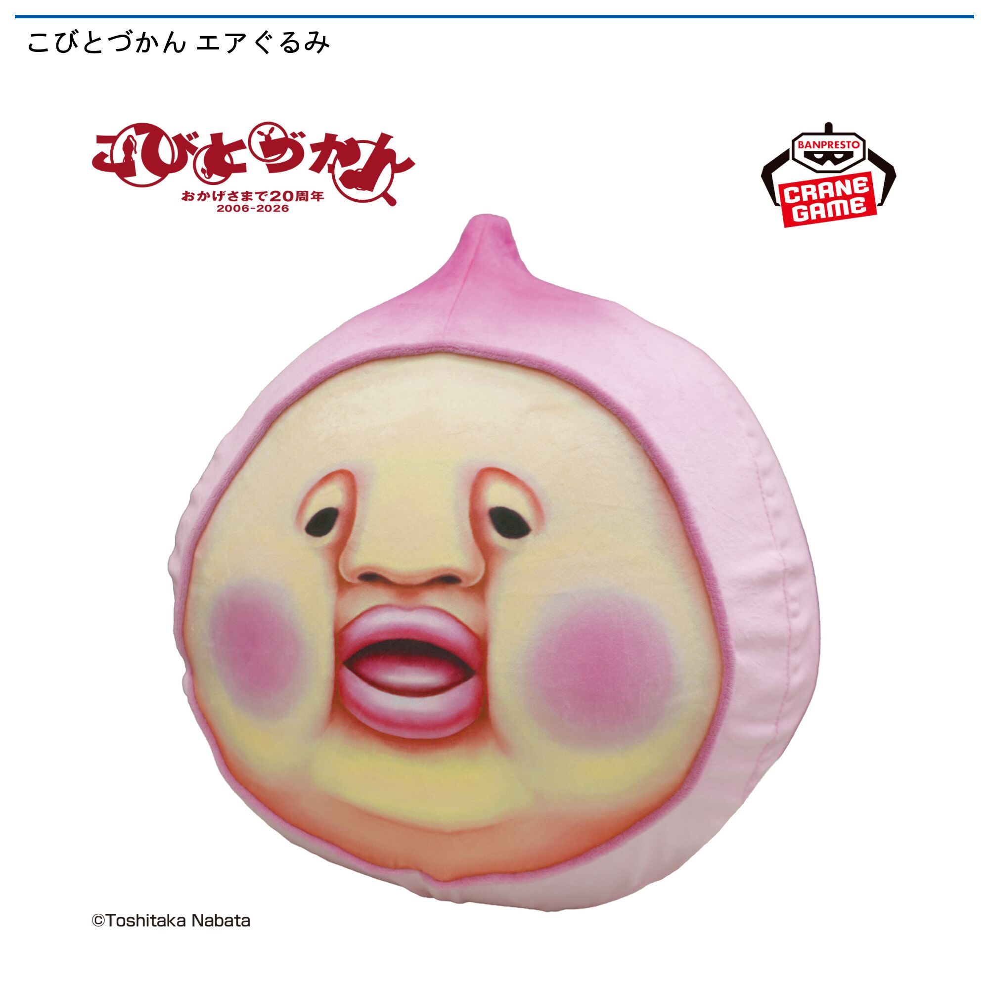 こびとづかん エアぐるみ