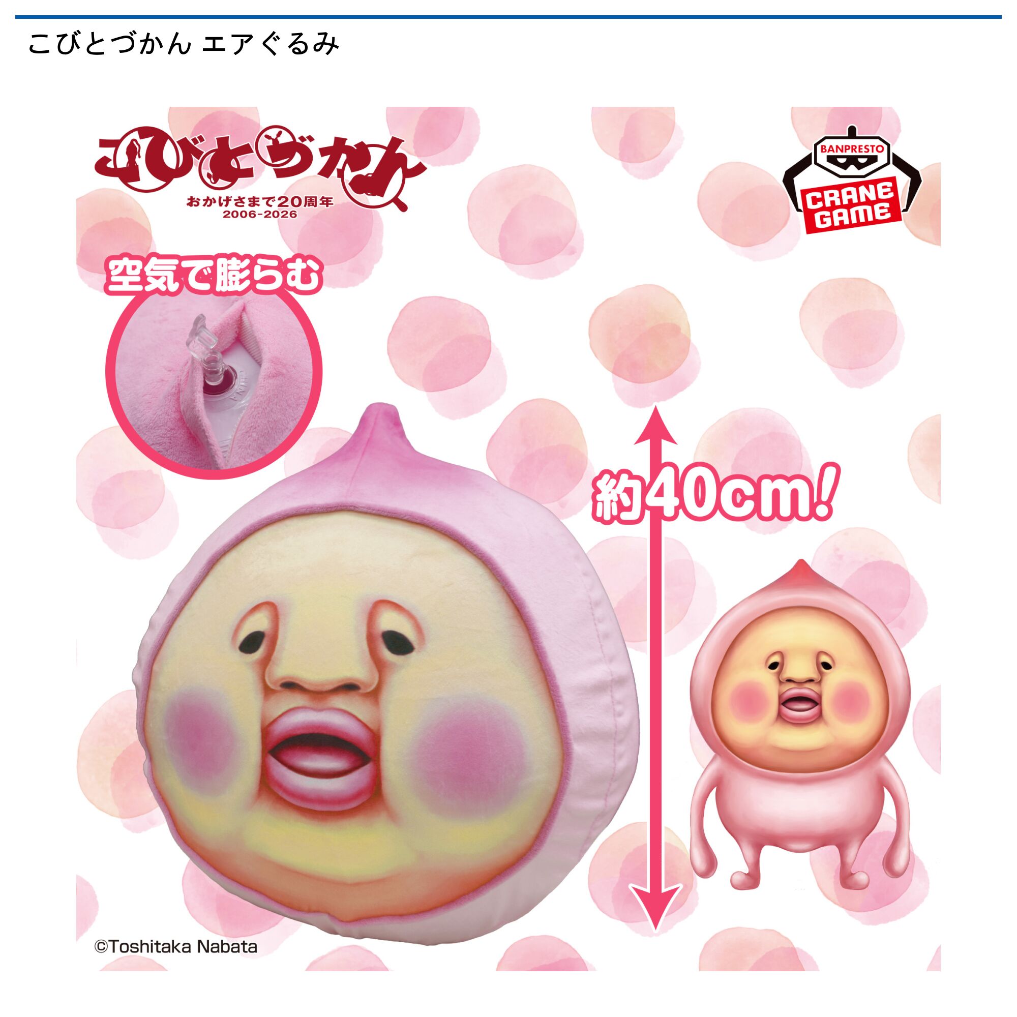 こびとづかん エアぐるみ