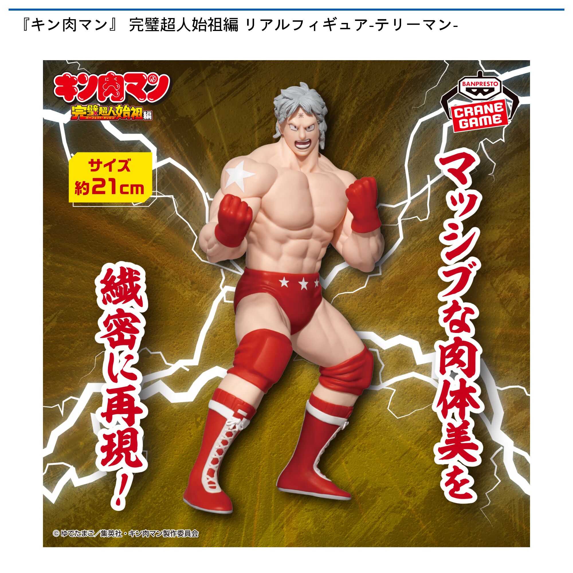 『キン肉マン』完璧超人始祖編 リアルフィギュア-テリーマン-