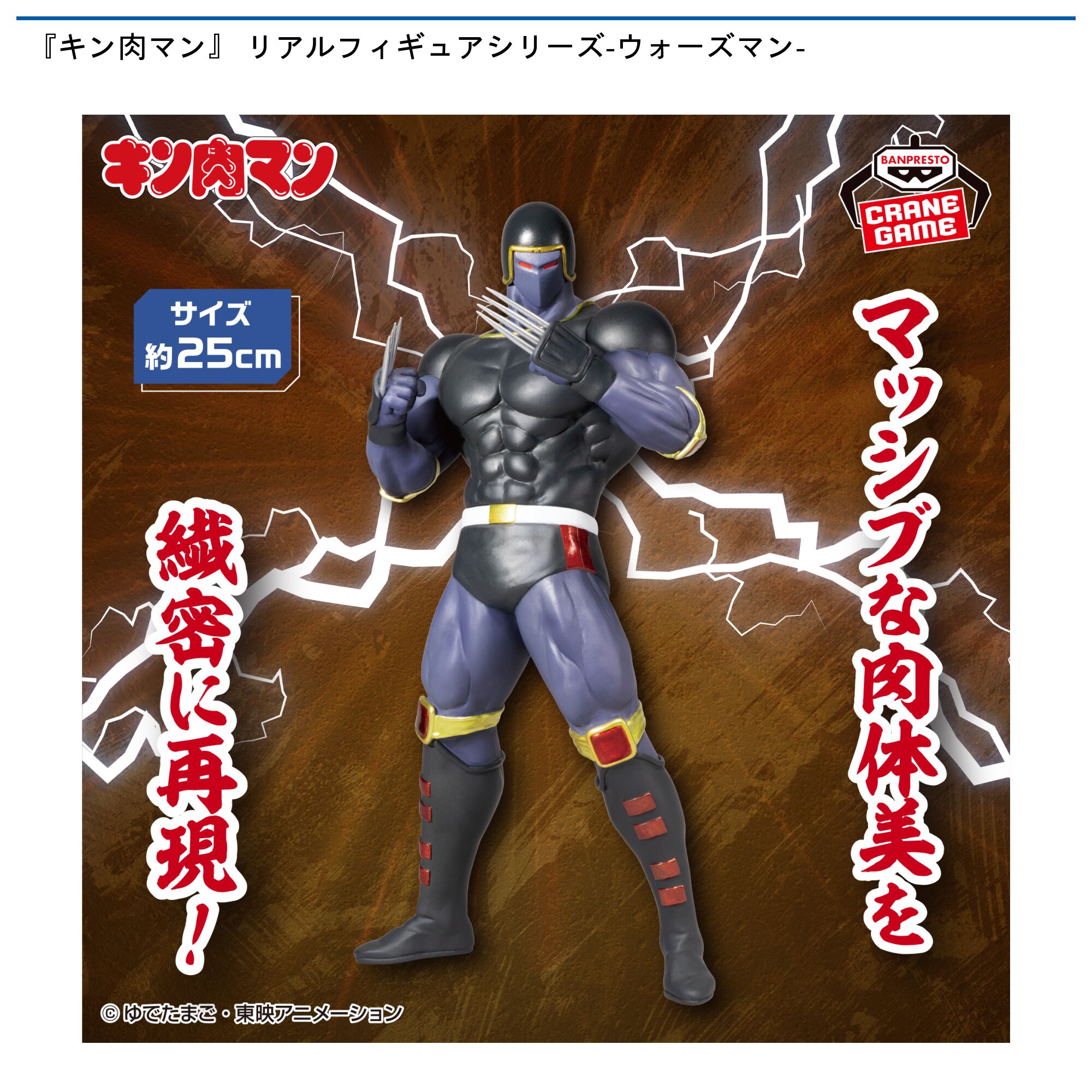 『キン肉マン』 リアルフィギュアシリーズ-ウォーズマン-